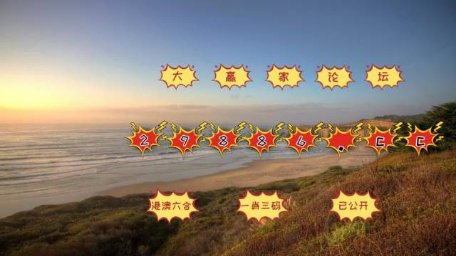 新澳门天天彩期期精准，探索彩票世界的预测之道，新澳门天天彩期精准预测，探索彩票预测的世界