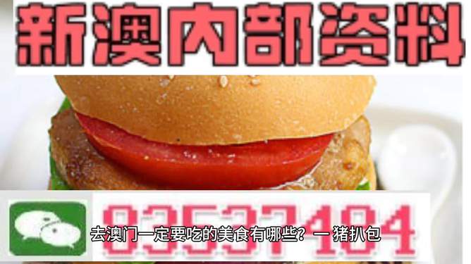 新门内部精准资料免费，探索与启示，新门内部精准资料探索与启示——免费获取启示之门