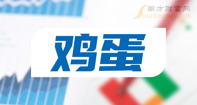 新蛋股票，探索与机遇，新蛋股票，探索与机遇的交汇点