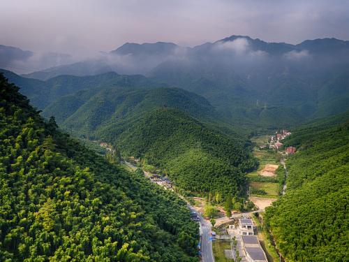 浙江安吉旅游攻略，探索自然与文化的完美融合，浙江安吉旅游攻略，自然与文化的完美融合之旅
