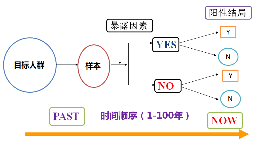 探索未来，2025年天天开好彩资料的展望与解析，未来展望解析，2025年天天开好彩资料探索与解析