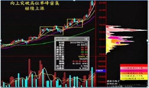 中石化股票分红，解析与洞察，中石化股票分红深度解析与洞察报告
