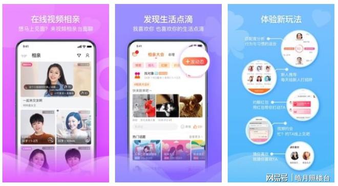 免费交友平台，探索现代社交的新领域，免费交友平台，现代社交新领域的探索