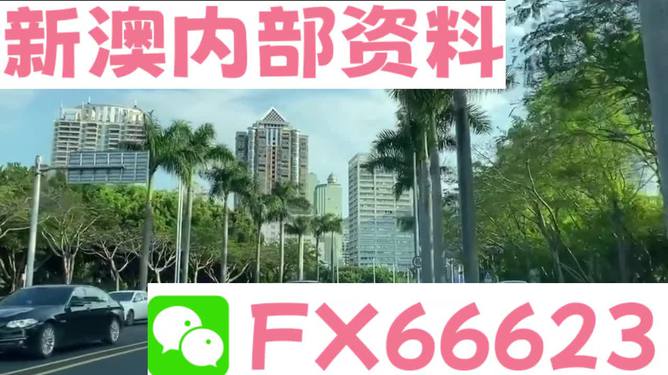 揭秘2004新澳精准资料，免费提供深度解析与实用指南，揭秘2004新澳精准资料，深度解析与实用指南全揭秘