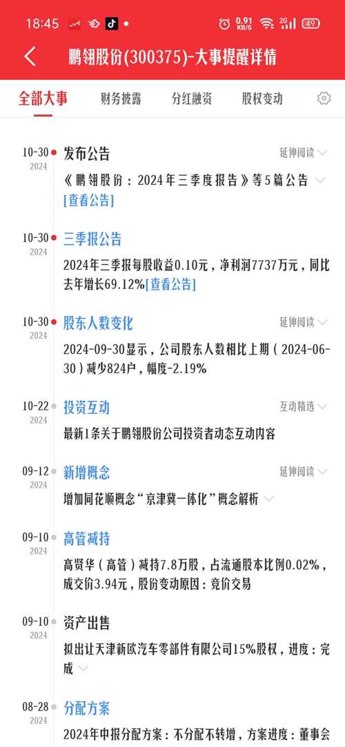 探索东方财富下的股吧，300375股的魅力与挑战，东方财富下的股吧探索，300375股的魅力与机遇与挑战
