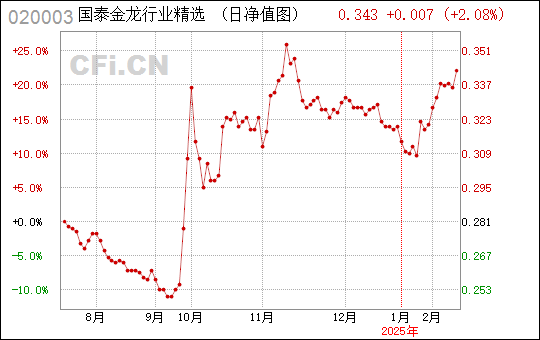 国泰金龙行业混合（020003），深度解析一只优秀的混合型基金，国泰金龙行业混合（020003），优秀混合型基金的深度解析