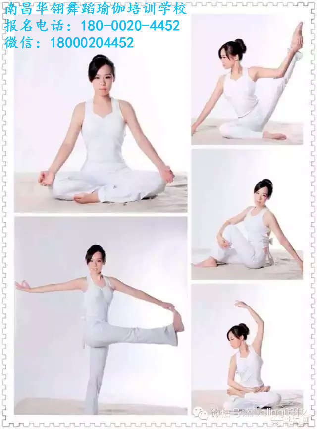专业瑜伽教练培训考证，打造瑜伽教育领域的专家之路，专业瑜伽教练培训考证，瑜伽教育专家之路的打造