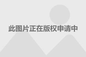 真正的明星电话号码大全，揭秘星空的私密联系，星空私密联系揭秘，真正的明星电话号码大全