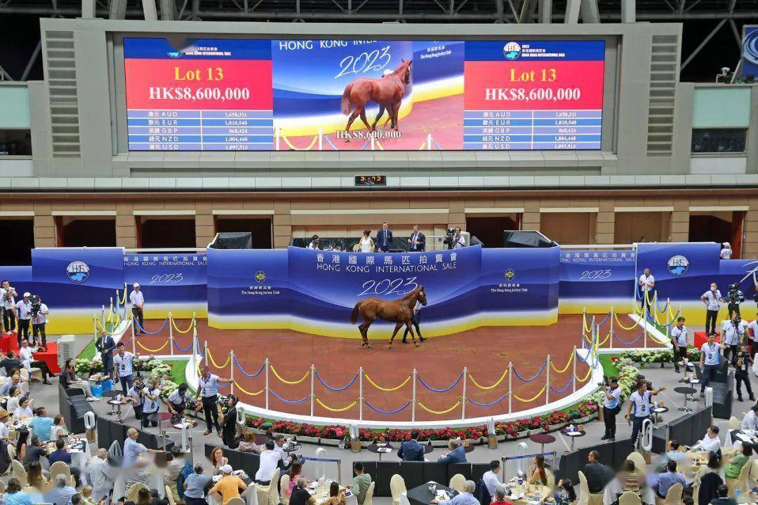 揭秘香港马会彩票开奖记录，探索2023年的数据与奥秘，揭秘香港马会彩票开奖记录，探寻2023年数据奥秘