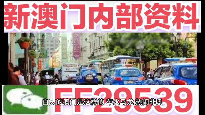 澳门今晚开，探寻未来的繁荣与魅力，澳门未来繁荣与魅力探寻之夜