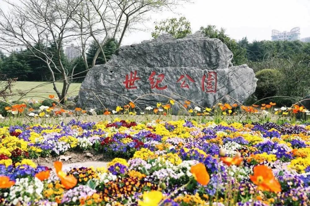 上海世纪公园，一处繁华都市中的绿色景点，上海世纪公园，都市繁华中的绿色胜地