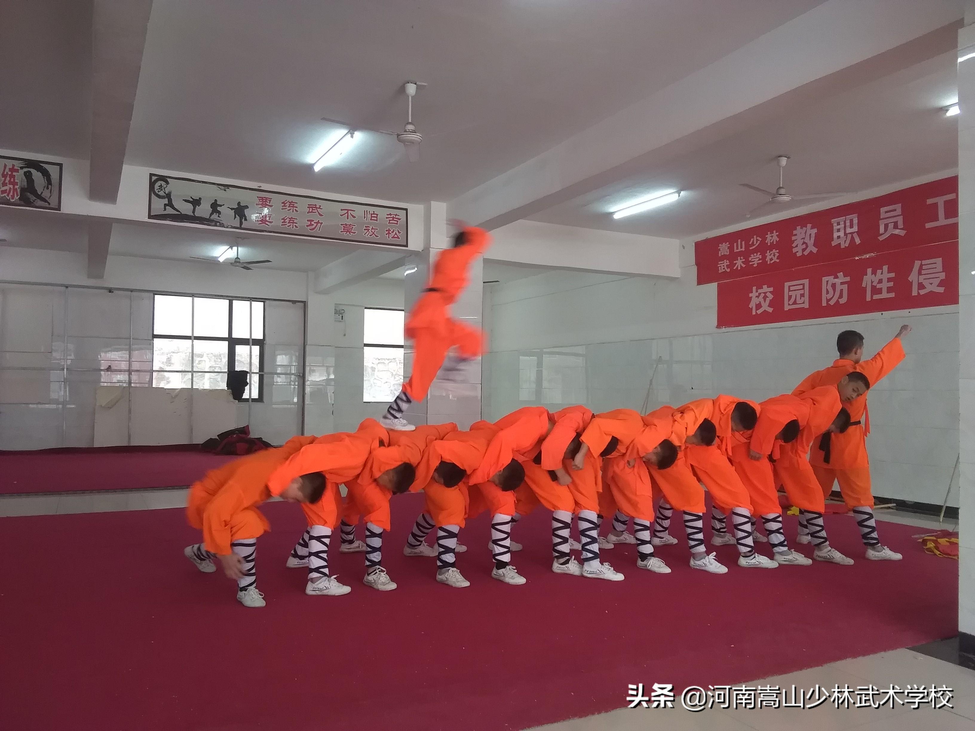 河南嵩山少林寺学费详解，河南嵩山少林寺学费全面解析