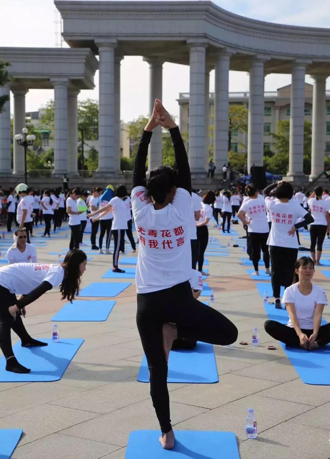 广州十大瑜伽学校，探索与实践的瑜伽之旅，广州十大瑜伽学校，瑜伽之旅的探索与实践