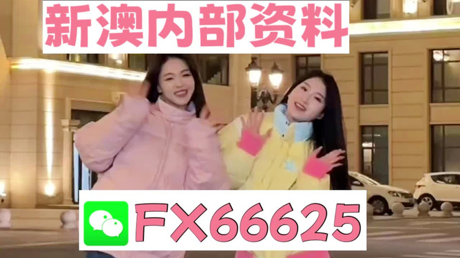 关于2025管家婆一码一肖资料的探讨，2025管家婆一码一肖资料深度探讨