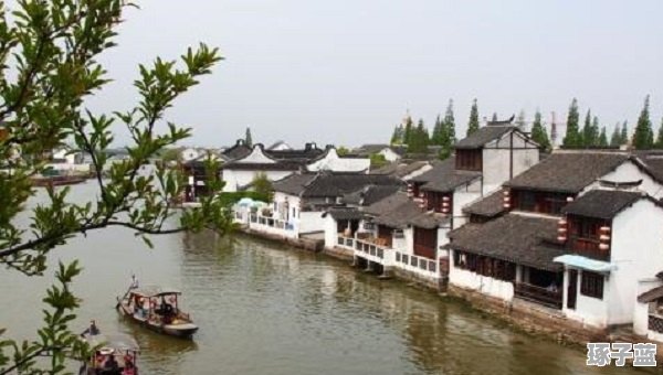 上海郊区景点大全排名榜，探索郊野之美，上海郊区景点TOP榜，探索郊野魅力的绝佳去处