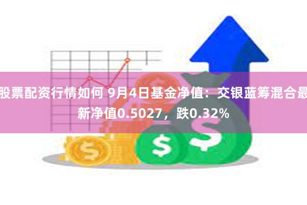 探究交银蓝筹基金净值背后的故事，了解数字背后的投资逻辑，揭秘交银蓝筹基金净值背后的投资逻辑与故事深度解析
