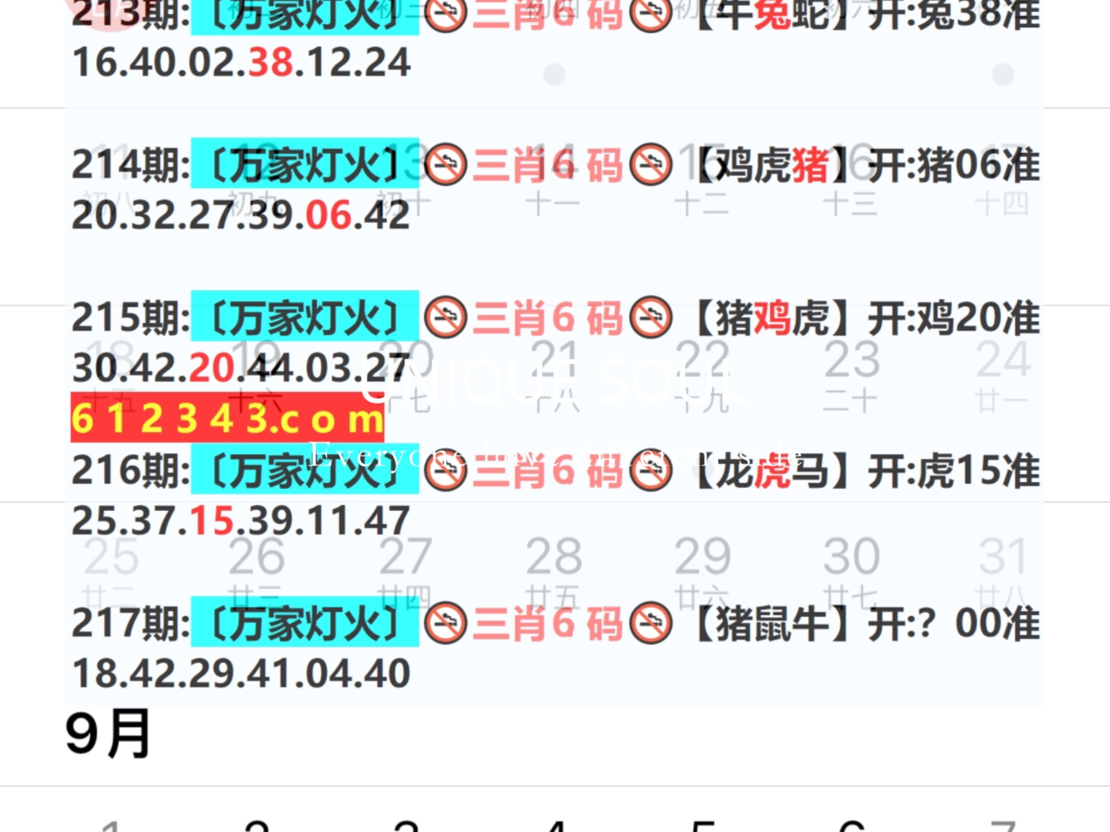 新澳门一码中奖图，探索彩票背后的神秘与魅力，新澳门一码中奖图揭秘，彩票背后的神秘魅力探索