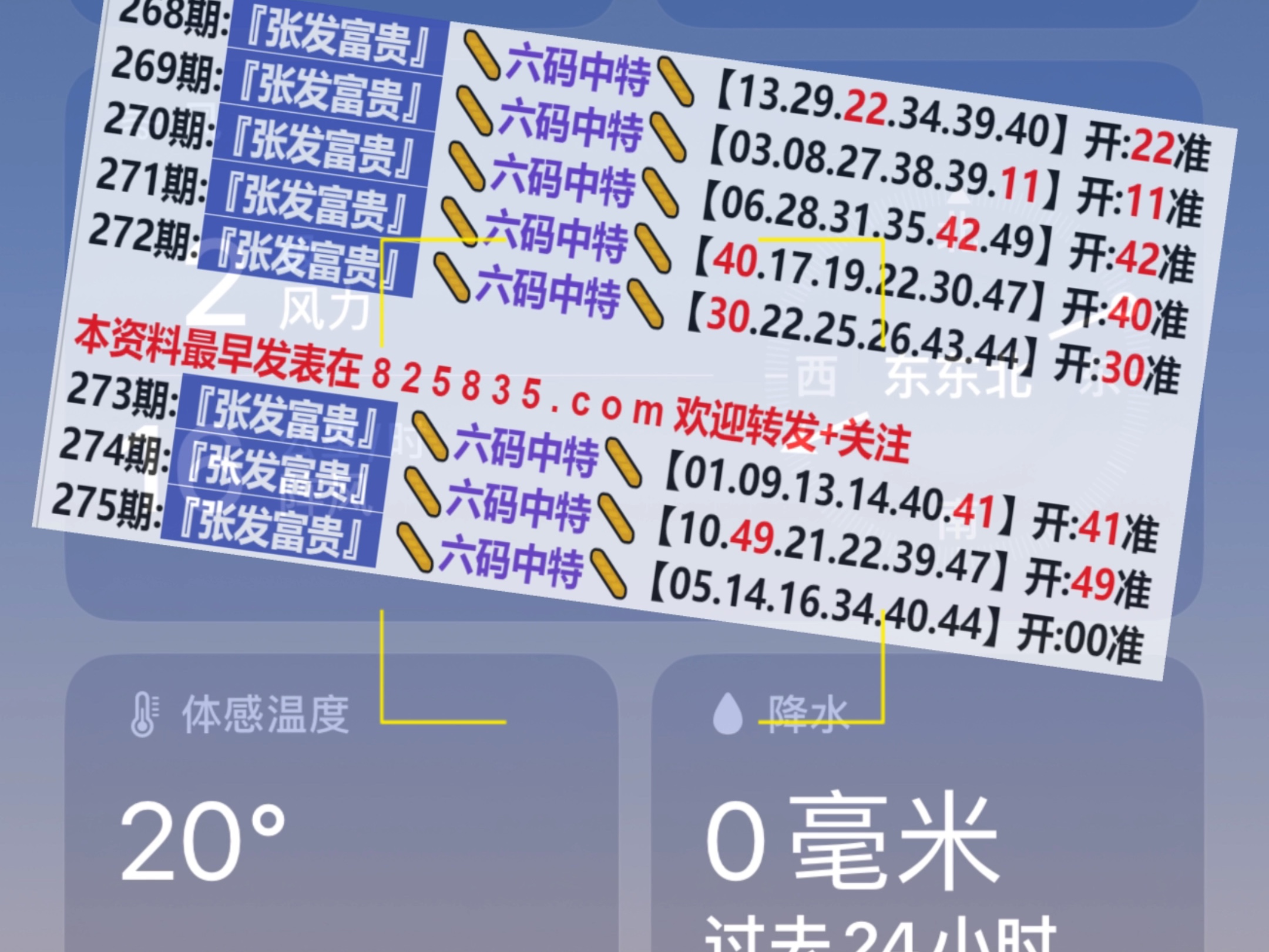 新澳门一码中奖图，探索彩票背后的神秘与魅力，新澳门一码中奖图揭秘，彩票背后的神秘魅力探索