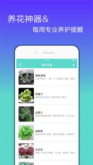 花信交友app下载，探索现代社交的新领域，花信交友APP，探索现代社交新领域的下载体验