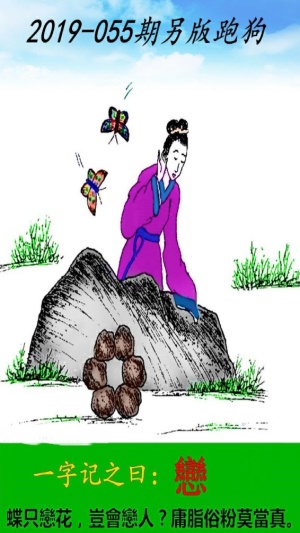 澳门跑狗图正版今晚，探索与揭秘，澳门跑狗图正版今晚，揭秘与探索之旅