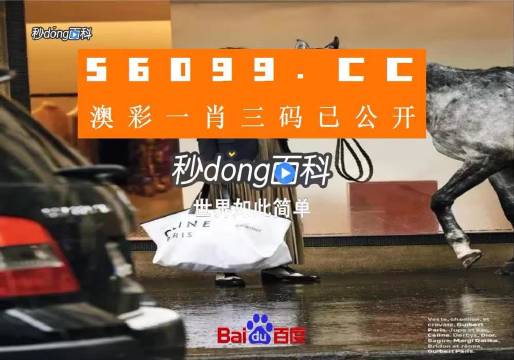新澳2025年精准一肖一码，预测与探索，新澳2025年精准生肖一码预测与展望