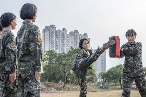 武警女兵图片，展现新时代女性的风采与力量，武警女兵风采，新时代女性的力量与风采展现