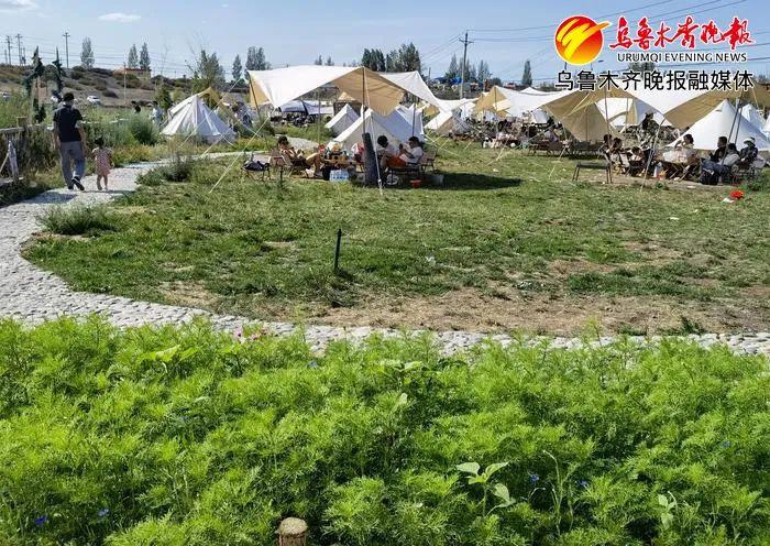 乌鲁木齐民宿托管公司，引领城市住宿新风尚，乌鲁木齐民宿托管公司，引领城市住宿新潮流