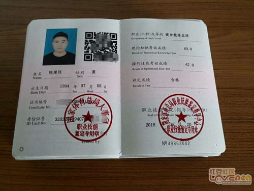 教练证报名流程详解，教练证报名流程全解析