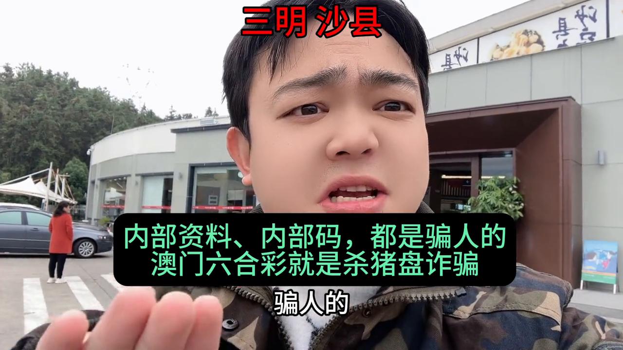 澳门天天六开彩内部资料详解，澳门天天六开彩内部资料深度解析