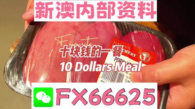 新澳精准资料免费提供，探索第510期的价值与机遇，新澳精准资料免费探索第510期价值与机遇