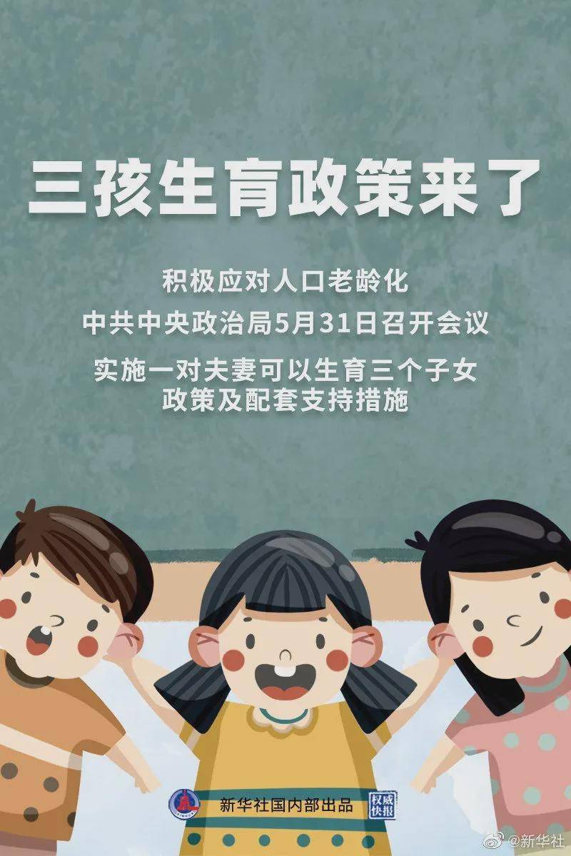 一码一肖100%的资料详解，一码一肖详解资料，百分百准确预测揭秘
