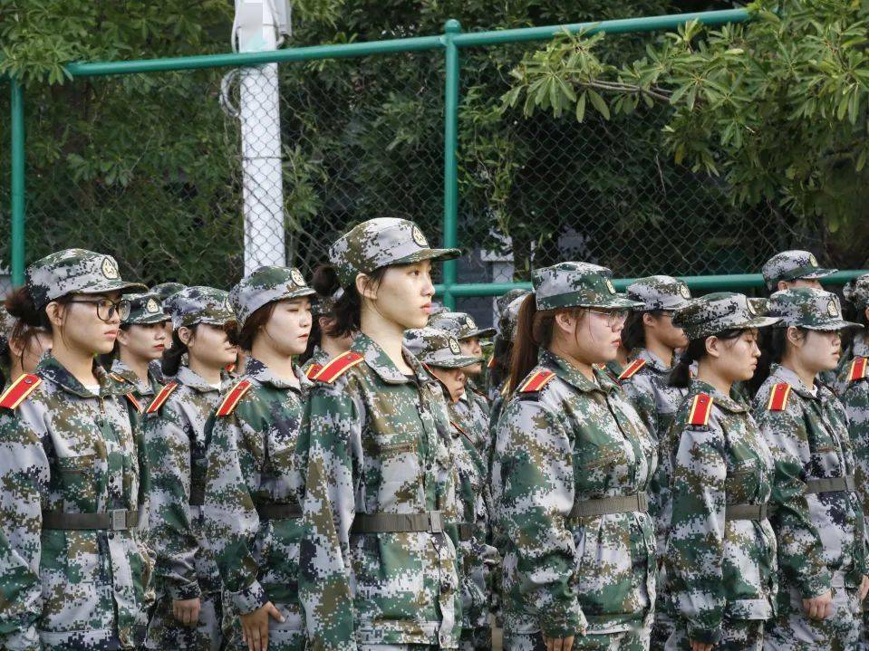 军事训练项目大全，深度解析与实际应用，军事训练项目深度解析与实战应用指南