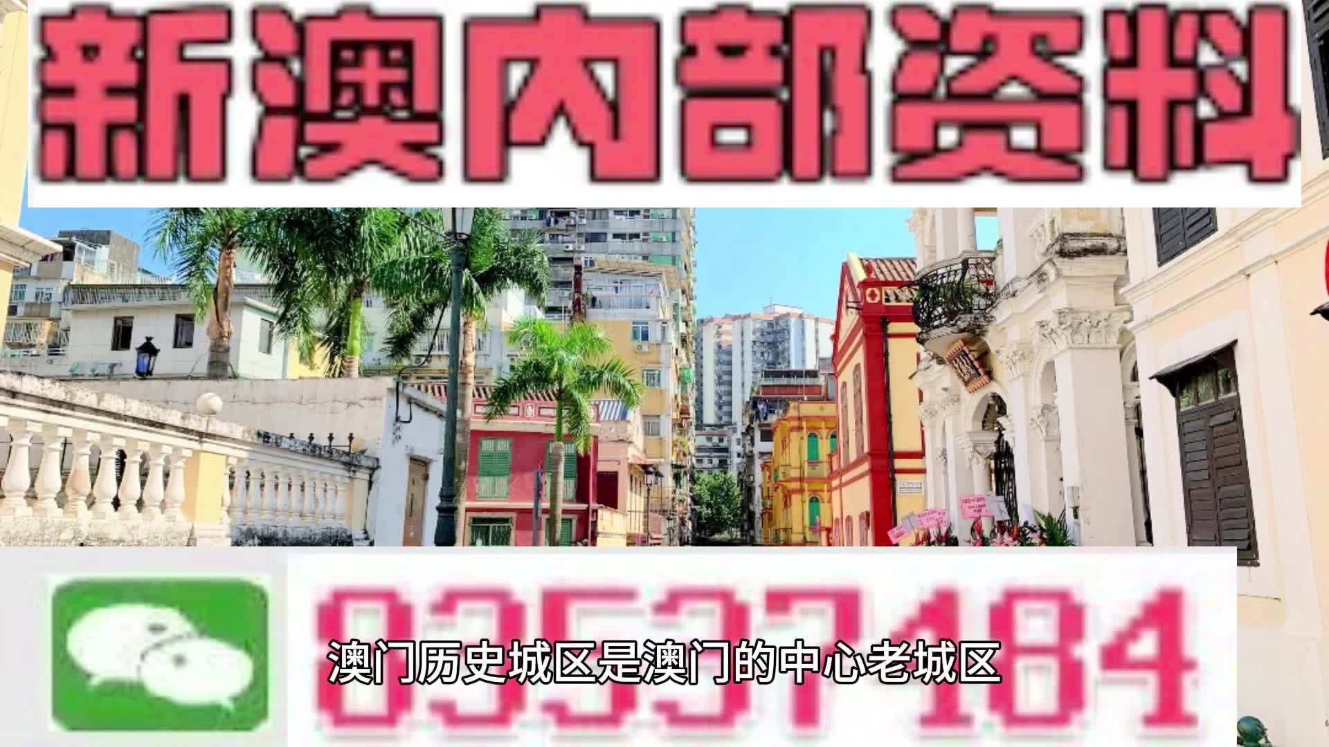 新澳门资料大全免费新鼬，探索与解析，澳门新资料解析与免费探索指南