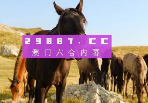 管家婆一肖一码澳门码资料解析，澳门管家婆一肖一码资料解析