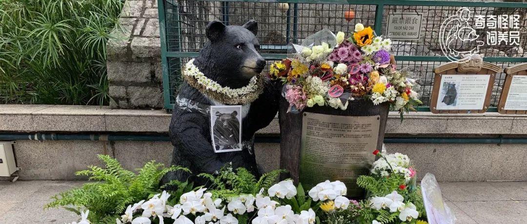 澳门最快开奖六开奖结果，揭秘彩票背后的秘密，澳门彩票开奖结果揭秘，探寻背后的秘密与幸运之门