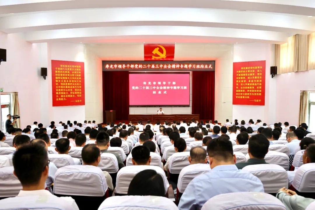 每期必中三中三，策略、运气与智慧的交织，策略、运气与智慧，每期必中三中三之道