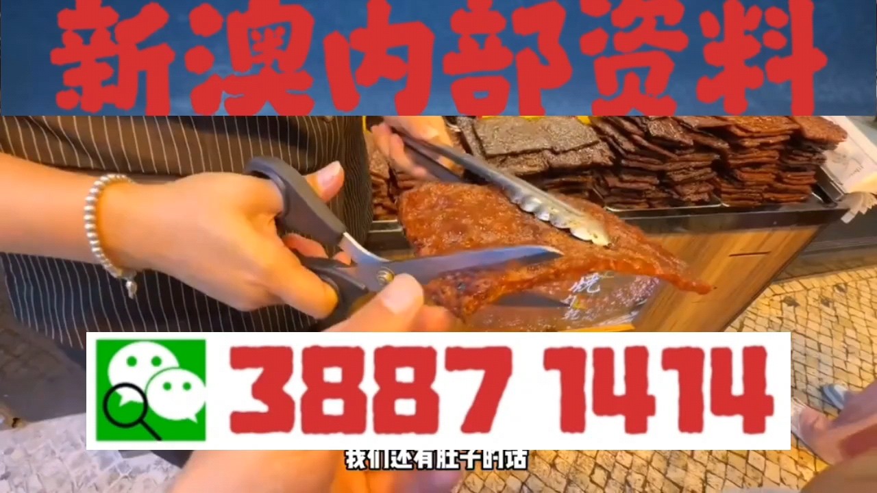 澳门十码中特免费公开，探索与揭秘，澳门十码中特探索与揭秘，免费公开的秘密