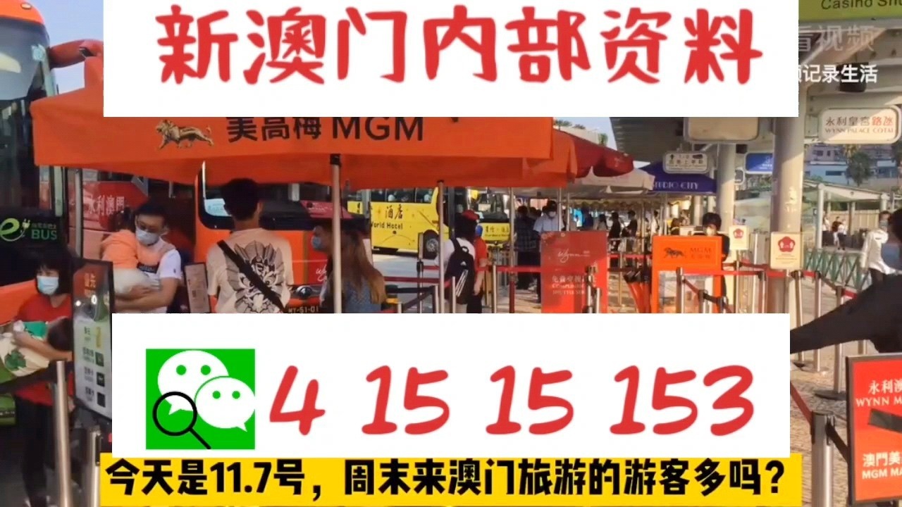 澳门十码中特免费公开，探索与揭秘，澳门十码中特探索与揭秘，免费公开的秘密