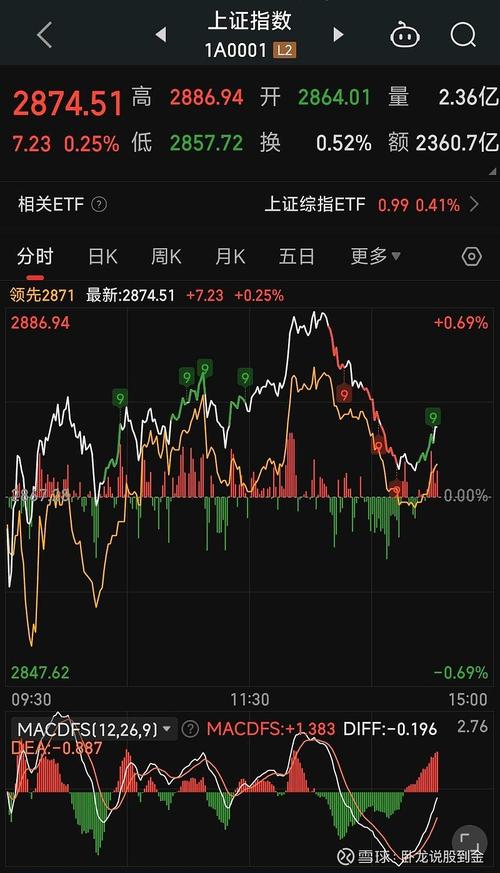 沪市大盘指数今日走势分析，沪市大盘指数今日走势解析