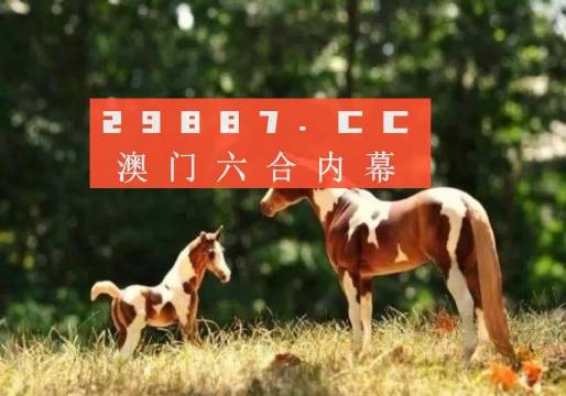澳门精准四不像最新正版，探索与解析，澳门精准四不像最新正版解析与探索