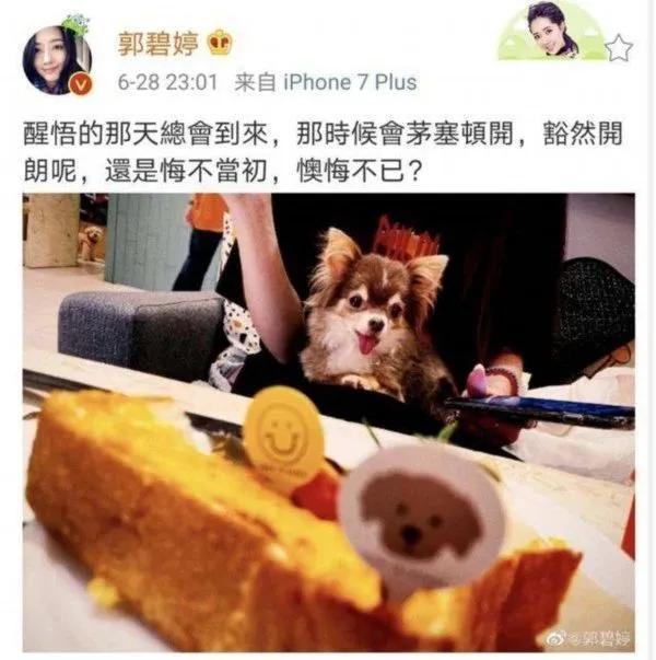 郭碧婷与老公的年龄差异，一段跨越岁月的爱情佳话，郭碧婷与年龄差异下的跨世爱情佳话