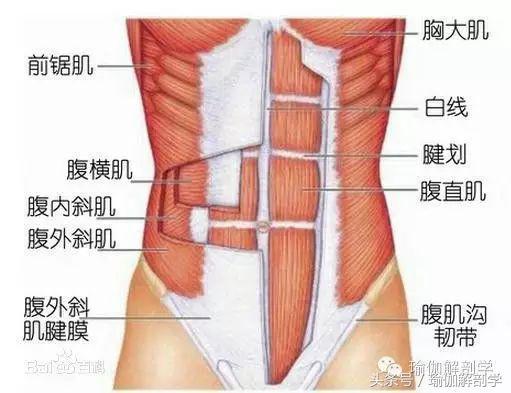 产后修复瑜伽体式，重塑美丽与健康的艺术，产后修复瑜伽，重塑美丽与健康的艺术之旅