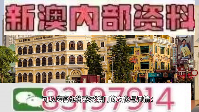 新澳门今晚开特马，探索与期待，澳门特马揭晓夜，期待与探索的时刻