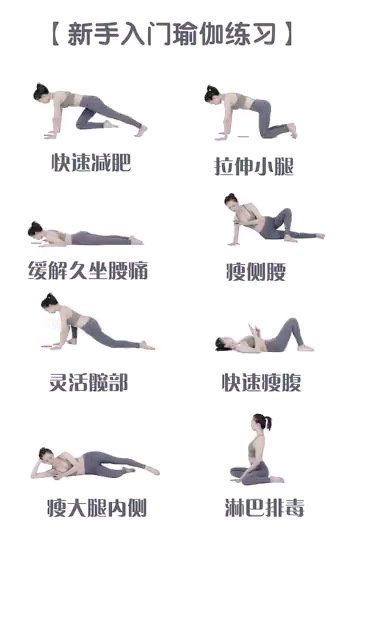初学者瑜伽入门，零基础也能轻松掌握，瑜伽初学者入门指南，零基础也能轻松上手