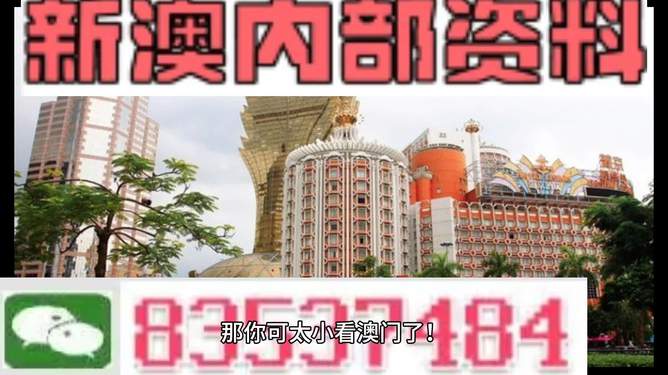 澳门内部免费资料，深度探索与发现，澳门内部免费资料，深度探索与独特发现