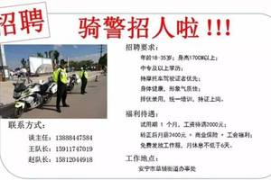 寻找理想工作，附近招聘的八小时双休模式探索，探索八小时双休模式，寻找理想工作的指南