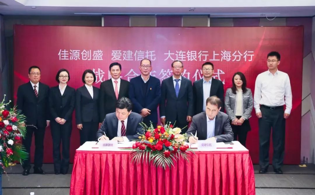 佳源创盛，引领新时代的卓越力量，佳源创盛，引领新时代的卓越力量之巅
