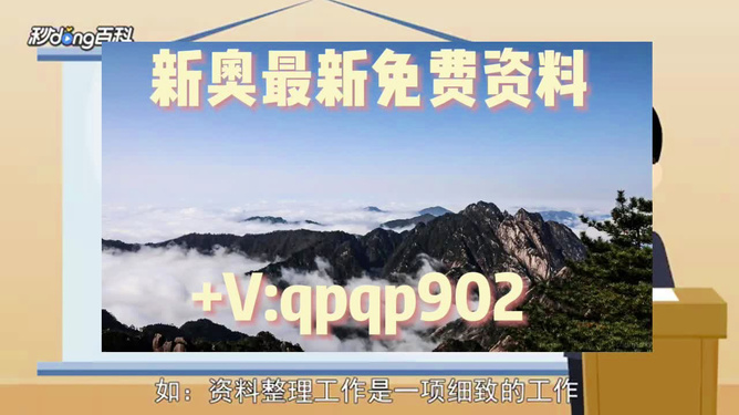 探索未来，2025年正版资料免费大全一肖的设想，未来展望，2025正版资料免费共享，一肖的设想探索
