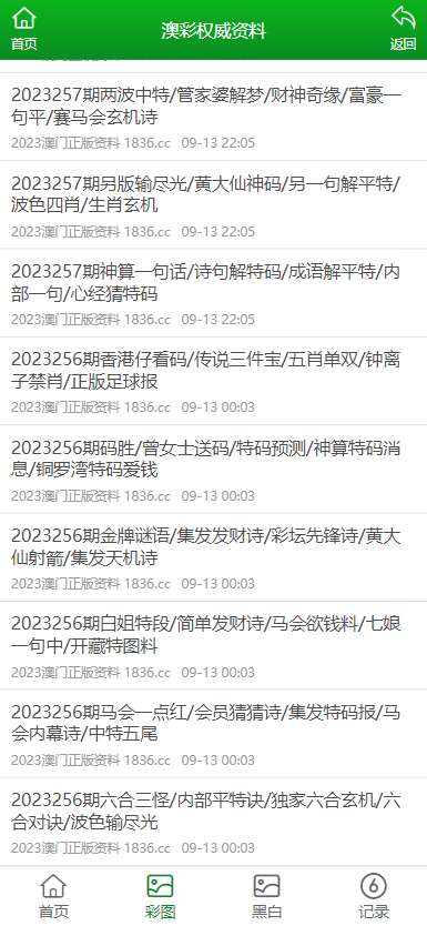 澳门资料大全与正版资料查询，深度探索与实用指南，澳门资料大全及正版查询，深度探索与实用指南