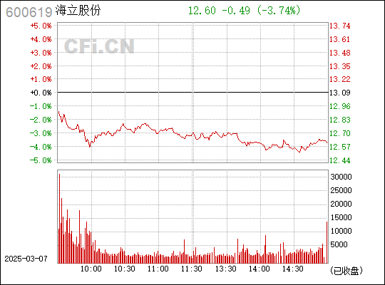 海立股份，探索企业成长之路，海立股份，企业成长之路的探索者